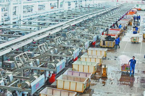 你穿的短袖,也許來(lái)自海洋廢棄塑料物