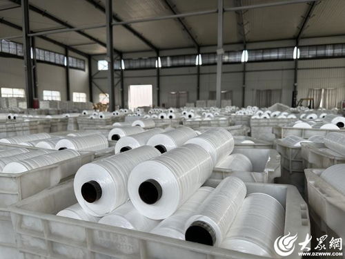 解碼經(jīng)緯交錯間的堅(jiān)守與創(chuàng)新——民企陽谷廣信的小小編織袋織出大天地